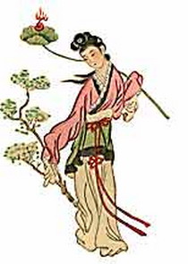 �����¹���