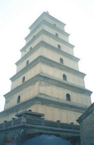 ਴�����ҹ����˭�