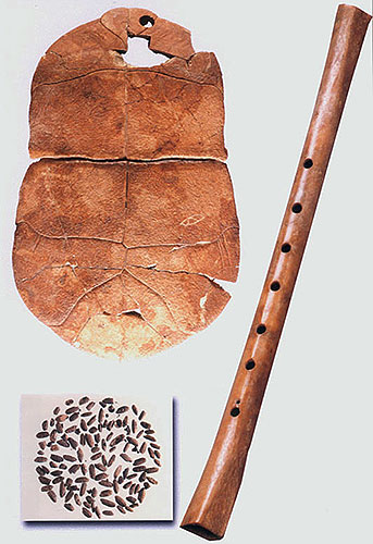 ��ҳ��շ��Ӻ������� 賈湖